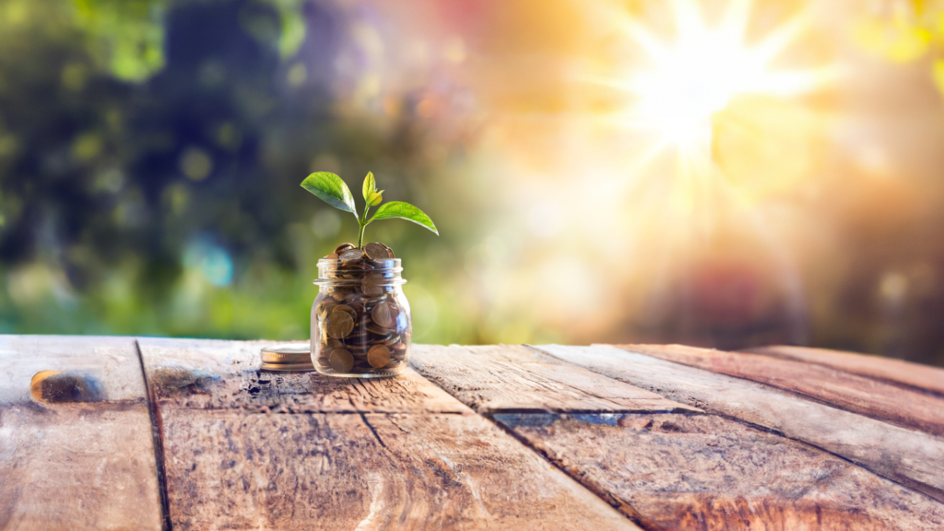 2 Year Fixed Term Deposit Account